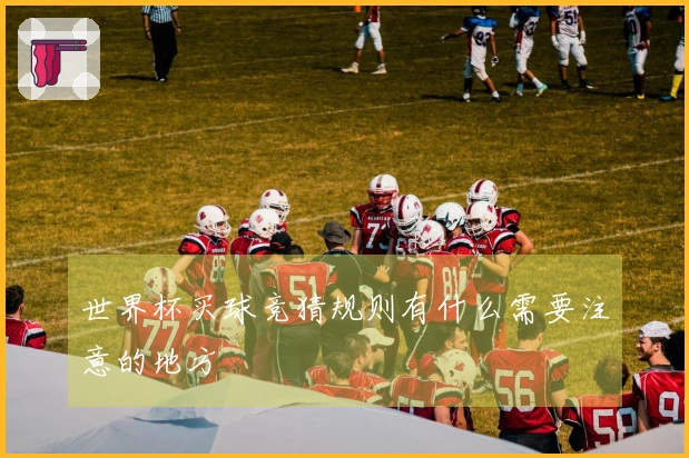 世界杯买球竞猜规则有什么需要注意的地方