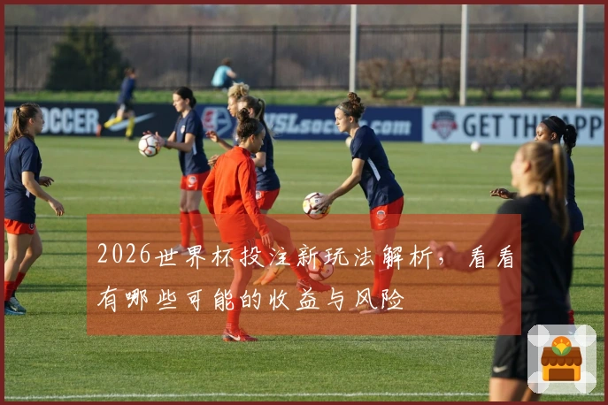 2026世界杯投注新玩法解析，看看有哪些可能的收益与风险