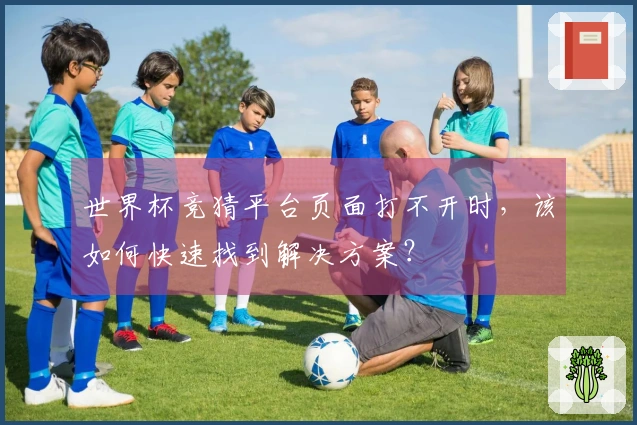 世界杯竞猜平台页面打不开时，该如何快速找到解决方案？