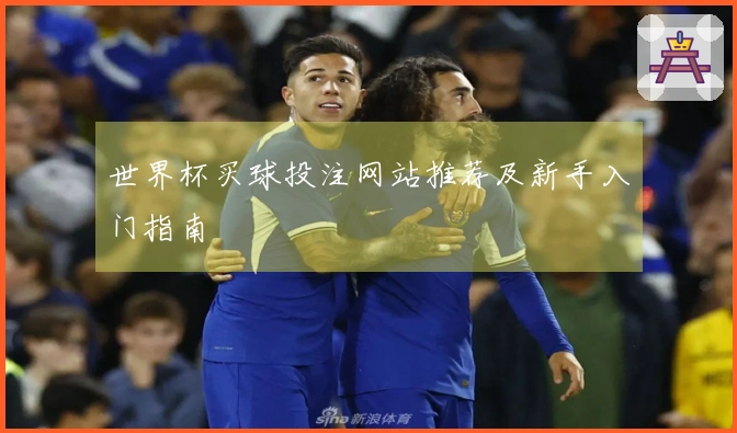 世界杯买球投注网站推荐及新手入门指南