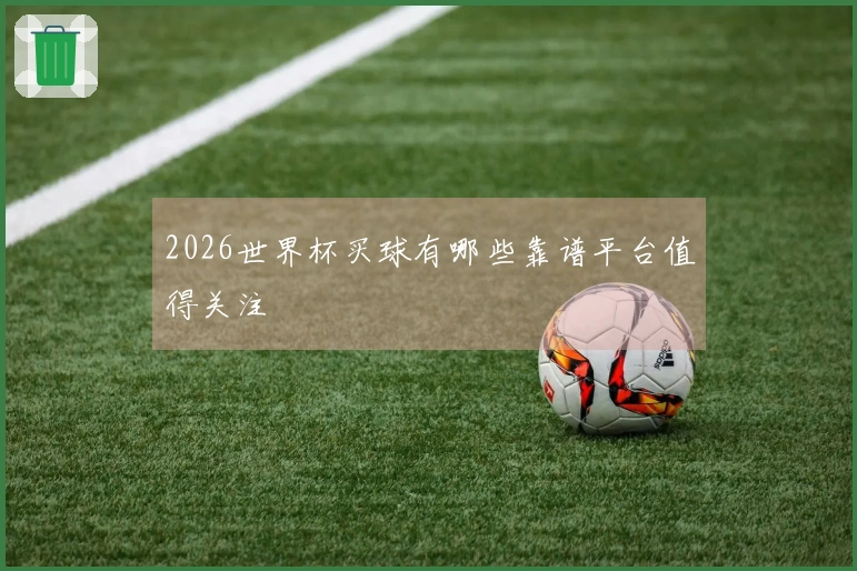 2026世界杯买球有哪些靠谱平台值得关注