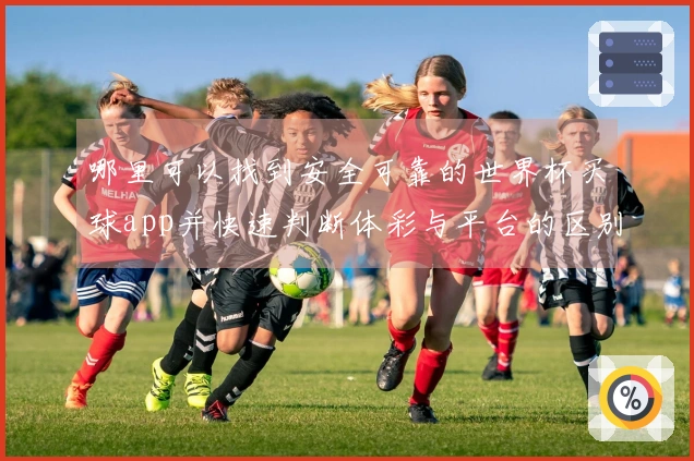 哪里可以找到安全可靠的世界杯买球app并快速判断体彩与平台的区别