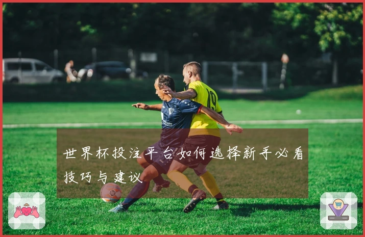 世界杯投注平台如何选择新手必看技巧与建议