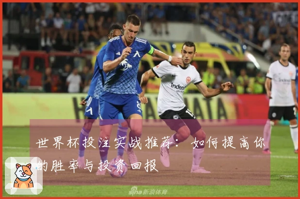 世界杯投注实战推荐：如何提高你的胜率与投资回报