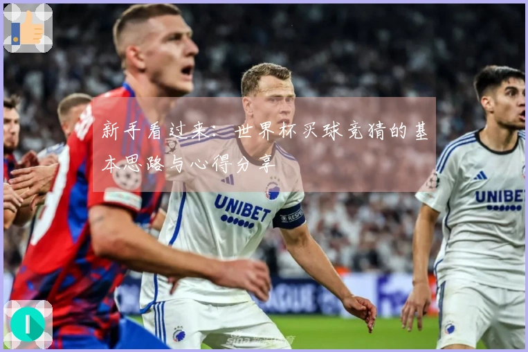 新手看过来：世界杯买球竞猜的基本思路与心得分享