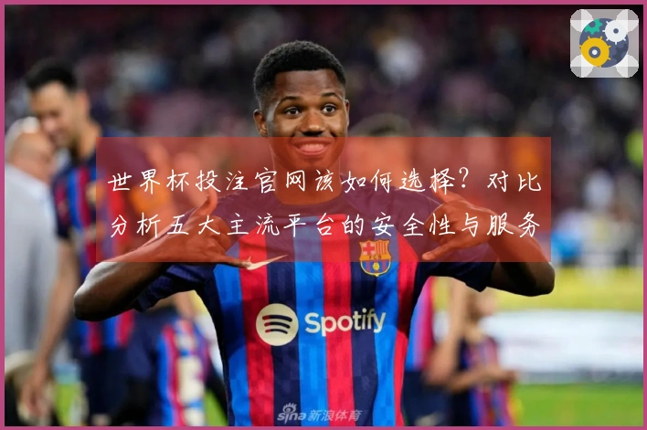 世界杯投注官网该如何选择？对比分析五大主流平台的安全性与服务质量