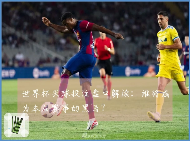 世界杯买球投注盘口解读：谁将成为本届赛事的黑马？