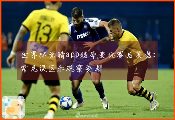 世界杯竞猜app赔率变化赛后复盘：常见误区和观察要点