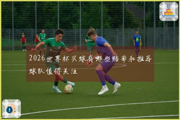 2026世界杯买球有哪些赔率和推荐球队值得关注
