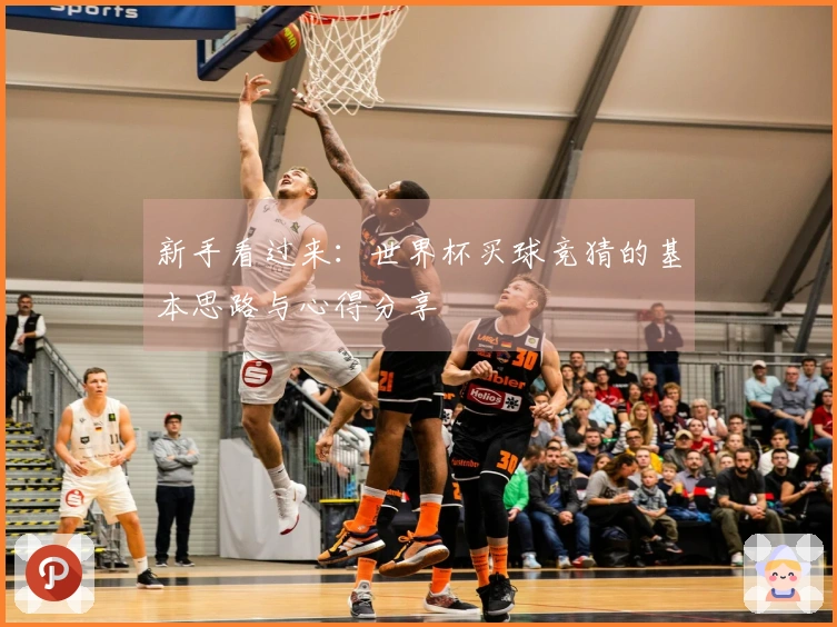 新手看过来：世界杯买球竞猜的基本思路与心得分享