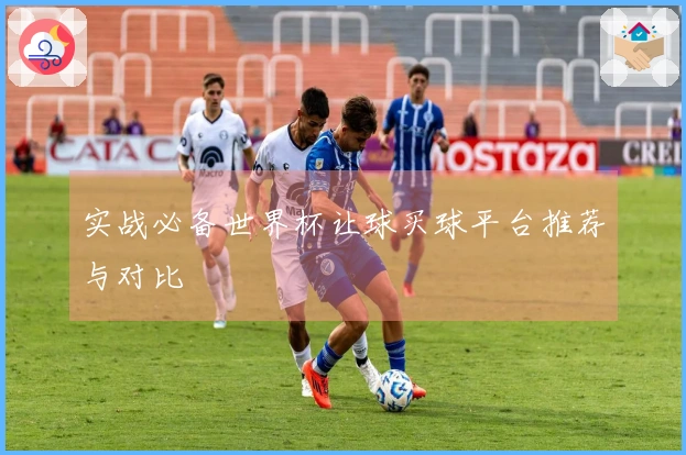 实战必备世界杯让球买球平台推荐与对比