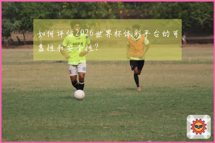 如何评估2026世界杯体彩平台的可靠性和安全性？