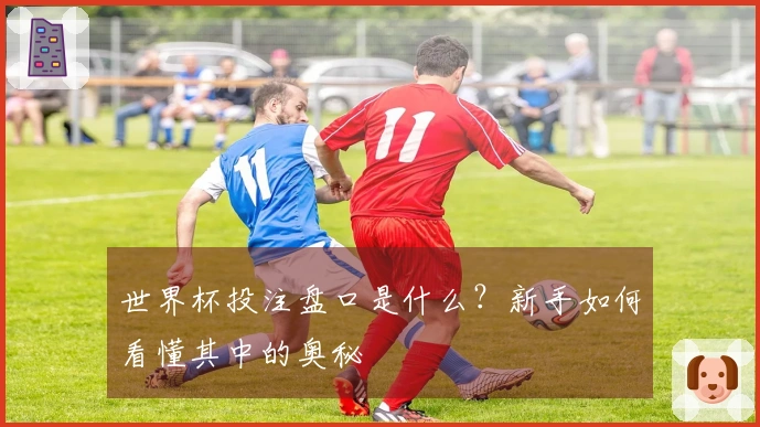 世界杯投注盘口是什么？新手如何看懂其中的奥秘