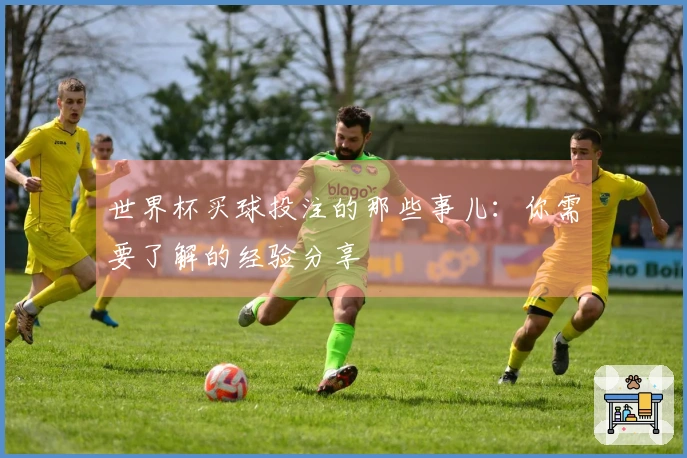 世界杯买球投注的那些事儿：你需要了解的经验分享