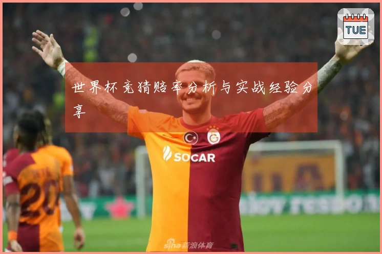 世界杯竞猜赔率分析与实战经验分享
