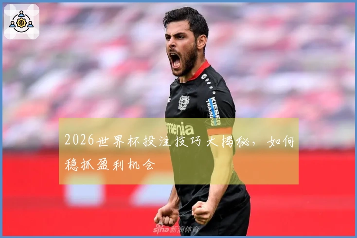 2026世界杯投注技巧大揭秘，如何稳抓盈利机会