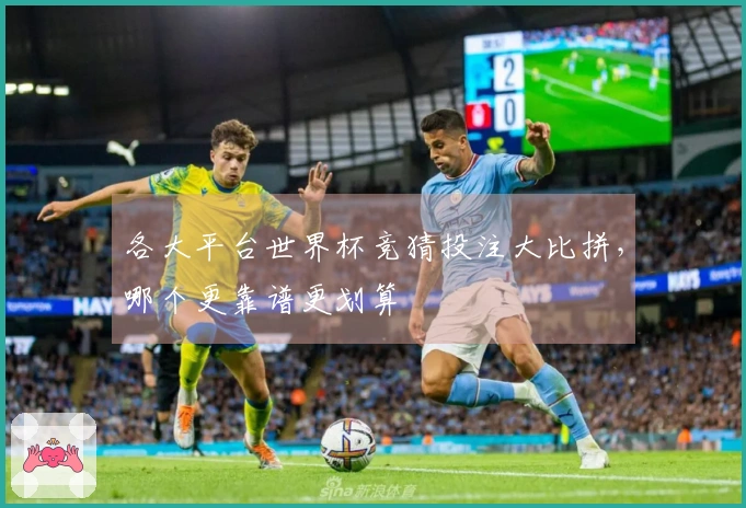 各大平台世界杯竞猜投注大比拼，哪个更靠谱更划算