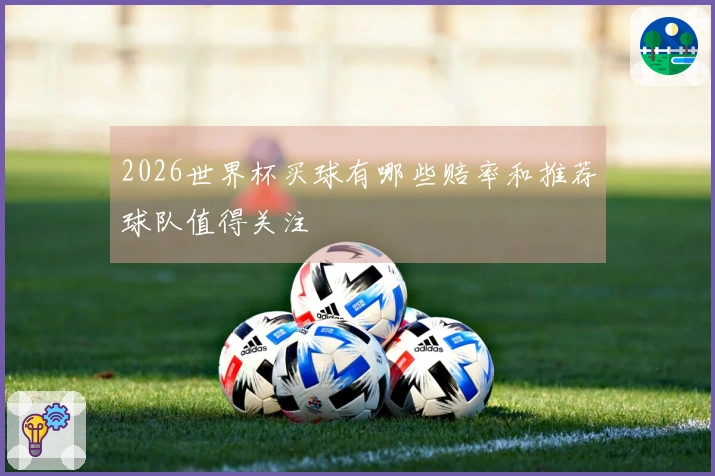 2026世界杯买球有哪些赔率和推荐球队值得关注