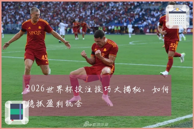2026世界杯投注技巧大揭秘，如何稳抓盈利机会